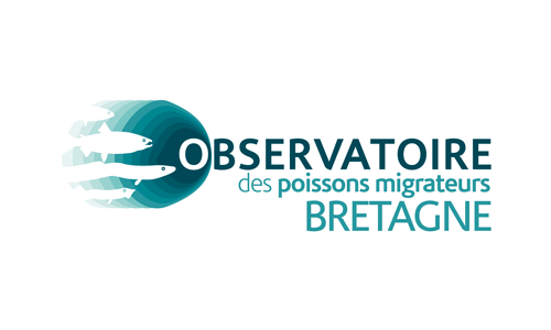 Observatoire des poissons migrateurs en Bretagne