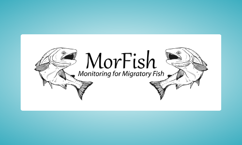 Logo Morfish