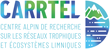 logo-CARRTEL